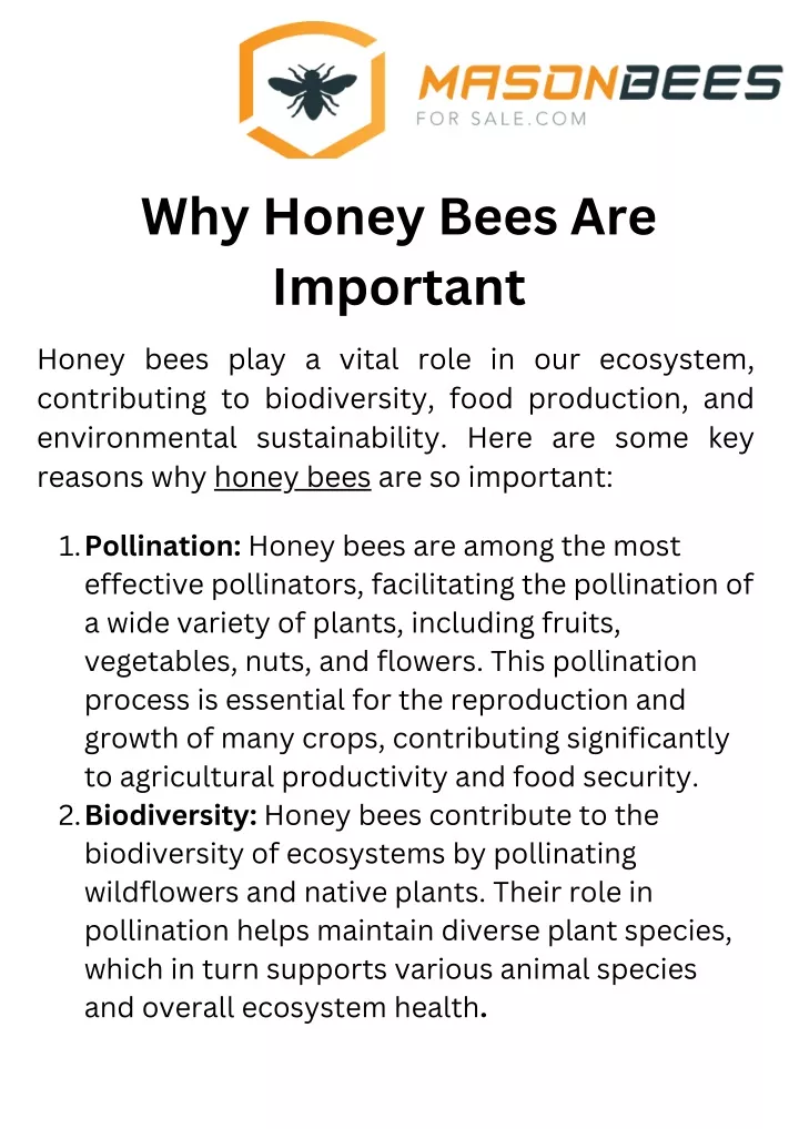 why honey bees are important