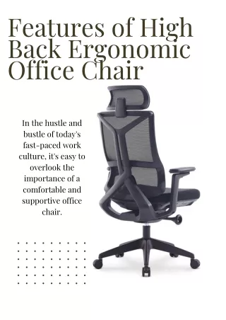 Features of High Back Ergonomic Office Chair