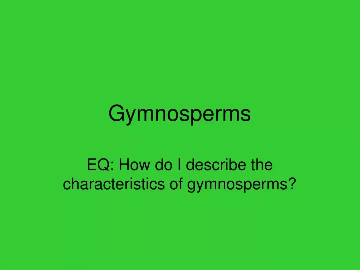 gymnosperms