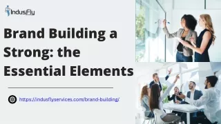 https indusflyservices com brand building