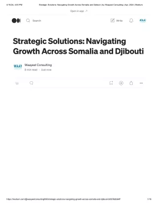 Strategic Solutions: Navigating Growth Across Somalia and Djibouti