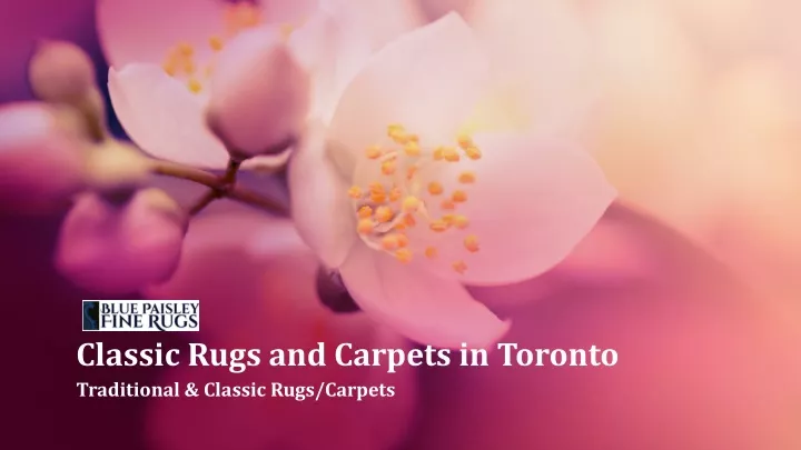 classic rugs and carpets in toronto