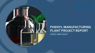 Phenyl Manufacturing Plant Report 2024 Edition