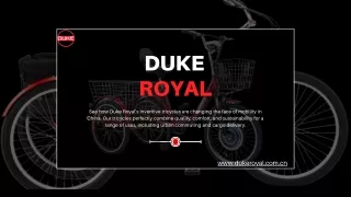 Transforming Mobility: The Chinese Tricycle Manufacturing Prowess of Duke Royal