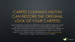 Make Your Carpets Feel Fresh: Fresh Maple's Trusted Carpet Cleaning in Milton