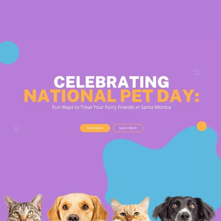 celebrating national pet day fun ways to treat