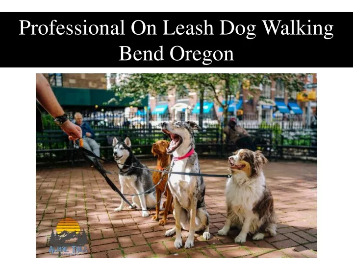 professional on leash dog walking bend oregon