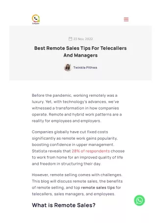 Best Remote Sales Tips For Telecallers And Managers