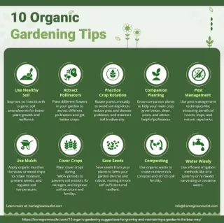 10 Organic Gardening Tips