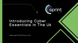 Introducing Cyber Essentials In The Uk -Sprint Infinity