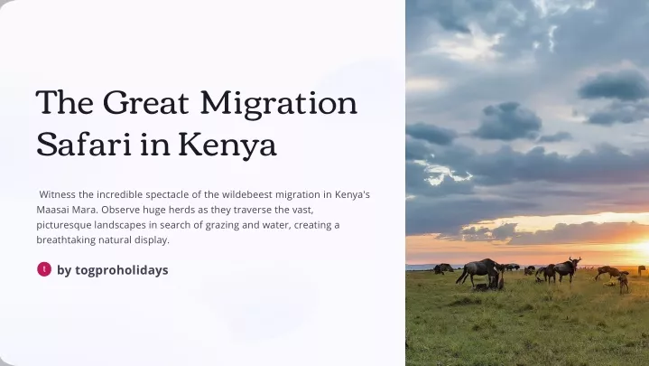 the great migration safari in kenya