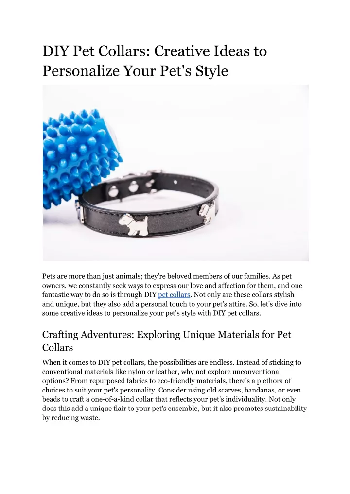 diy pet collars creative ideas to personalize