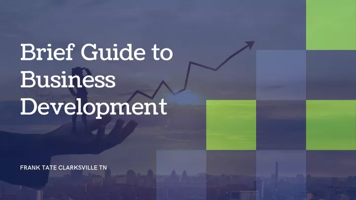 brief guide to business development