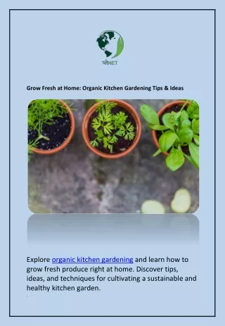 Kitchen Gardening Services India: Fresh Food at Home