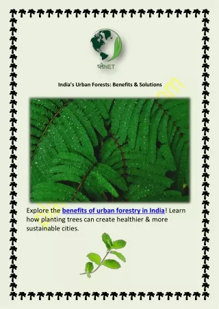 India's Urban Forests: Benefits & Solutions