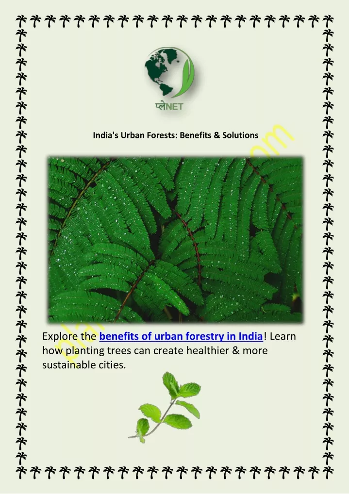 india s urban forests benefits solutions