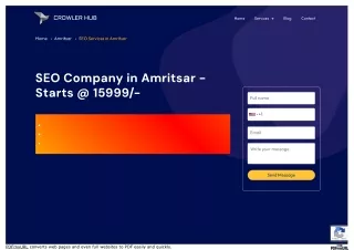 Seo Company In Amritsar| Crowlerhub
