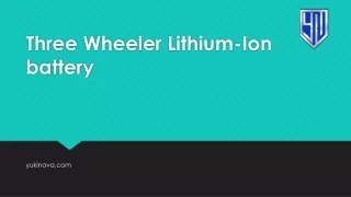 Three Wheeler Lithium-Ion battery