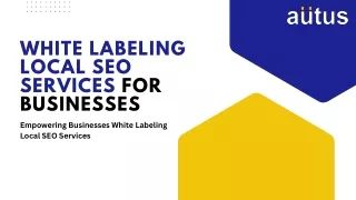 Powering Your Agency's Success White Label Local SEO Solutions