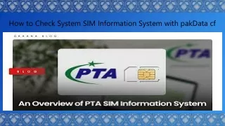 pptHow to Check System SIM Information System with pakData cf