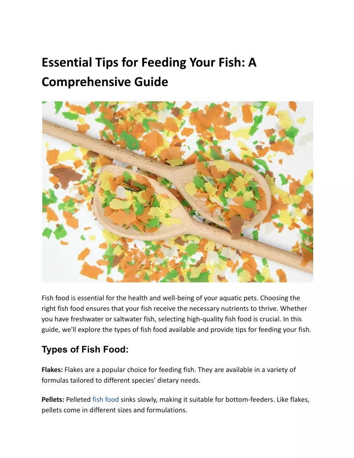 essential tips for feeding your fish