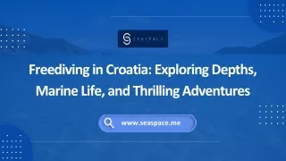 Freediving in Croatia: Exploring Depths, Marine Life, and Thrilling Adventures