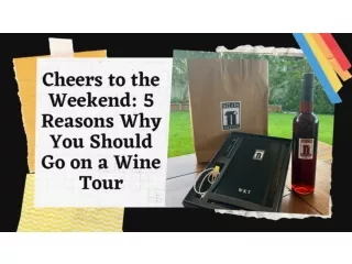 Cheers to the Weekend - 5 Reasons Why You Should Go on a Wine Tour