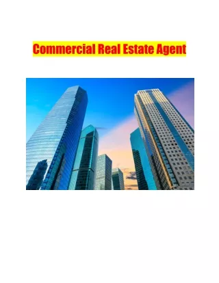 Commercial Real Estate Agent