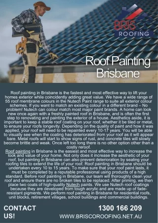 Roof Painting Brisbane--Brisco Roofing