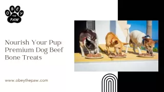 Nourish Your Pup Premium Dog Beef Bone Treats