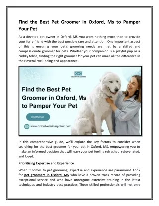 Find the Best Pet Groomer in Oxford  Ms to Pamper Your Pet