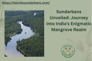 Sundarbans Unveiled Journey into India's Enigmatic Mangrove Realm