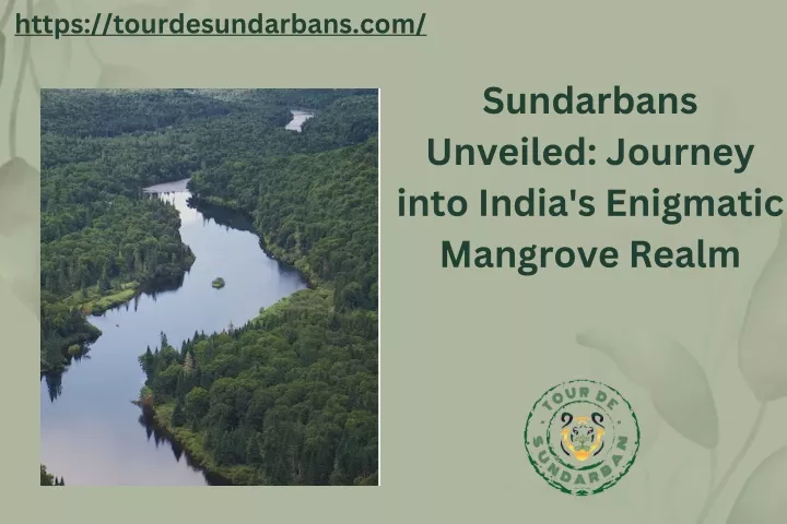 https tourdesundarbans com