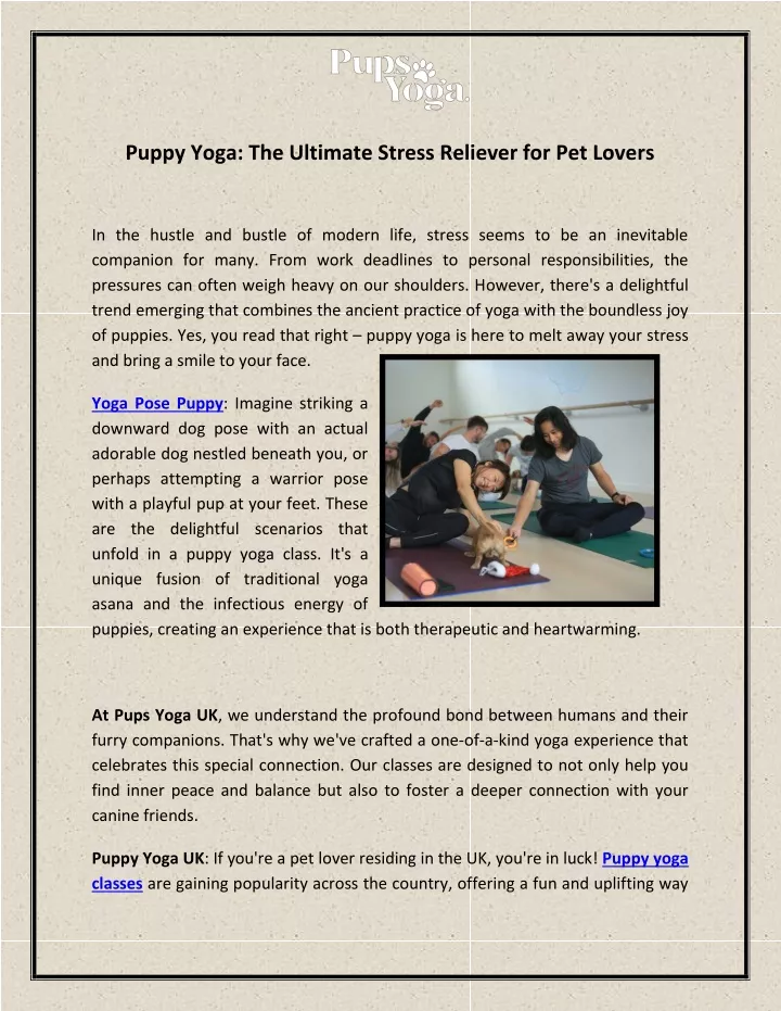 puppy yoga the ultimate stress reliever