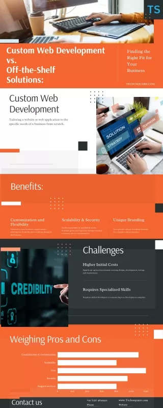 custom web development vs off the shelf solutions