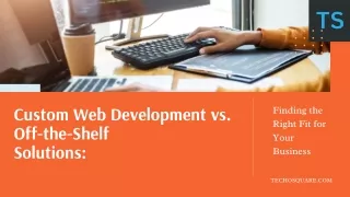 Custom Web Development vs. Off-the-Shelf  Solutions