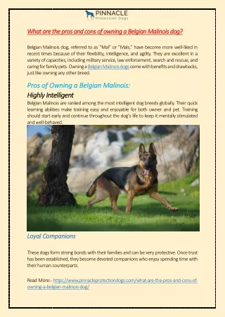 What are the pros and cons of owning a Belgian Malinois dog?