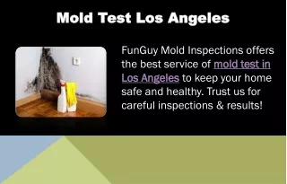Mold Test Los Angeles
