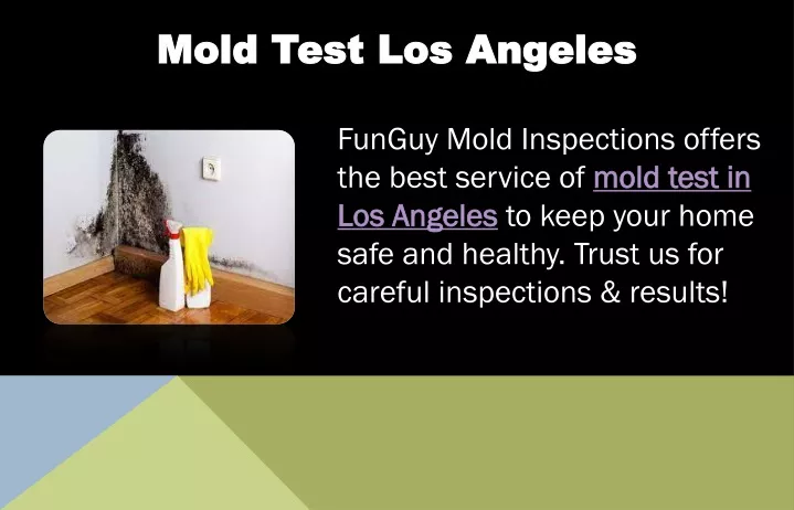 mold test los angeles