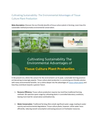 Cultivating Sustainability: The Environmental Advantages of Tissue Culture Plant