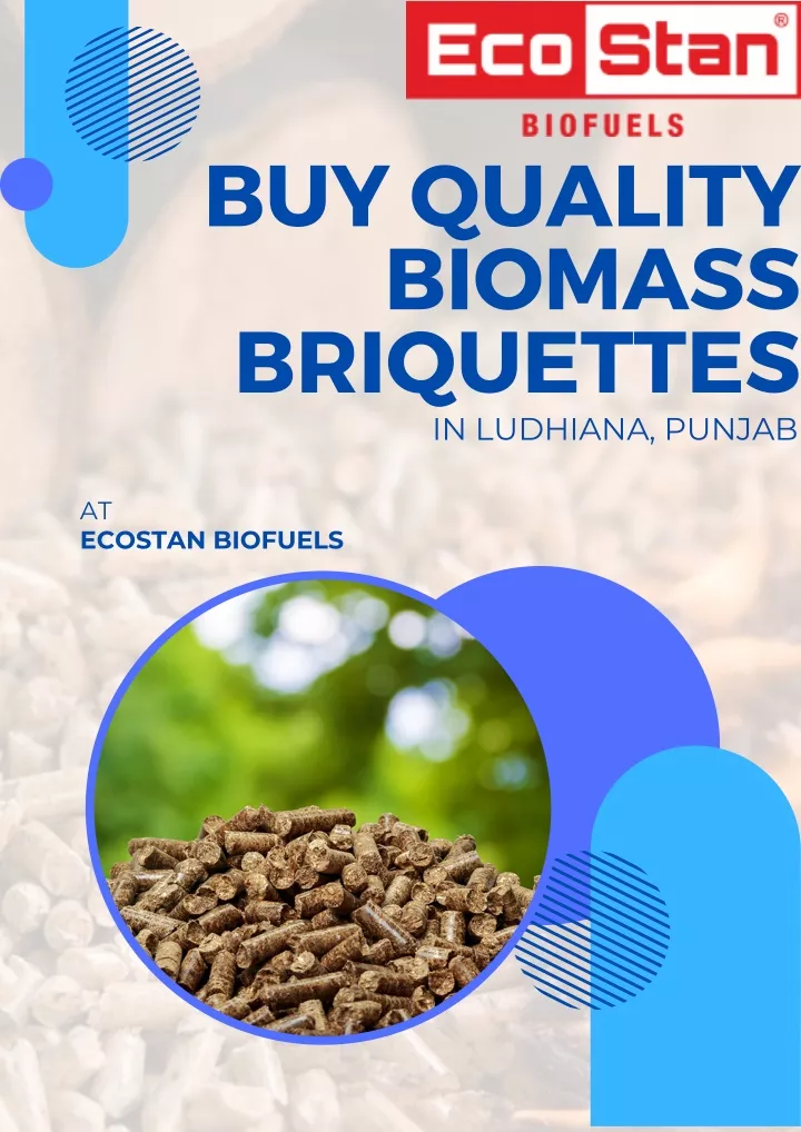 buy quality biomass briquettes in ludhiana punjab