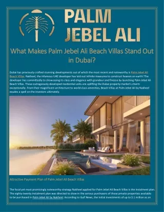 What Makes Palm Jebel Ali Beach Villas Stand Out in Dubai