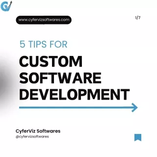 Custom Software Development