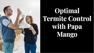 Experience Superior Termite Treatment with Papa Mango