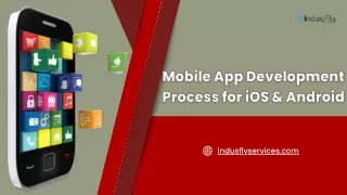 indusflyservices com