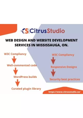 WEB DESIGN AND WEBSITE DEVELOPMENT SERVICES IN MISSISSAUGA, ON