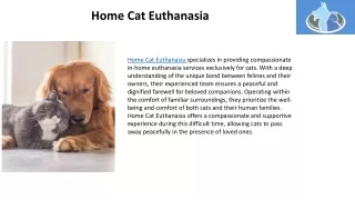 Home Cat Euthanasia