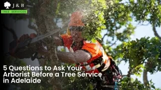5 Questions to Ask Your Arborist Before a Tree Service in Adelaide