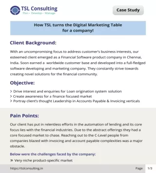 TSL Consulting | Digital Marketing to a Financial Software product