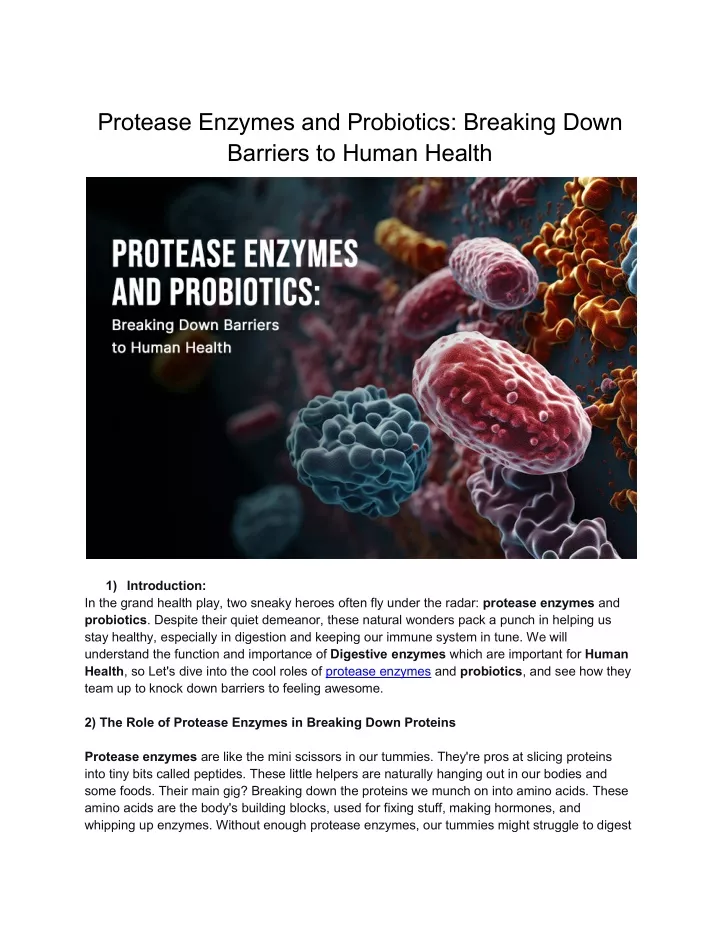 protease enzymes and probiotics breaking down